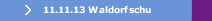 11.11.13 Waldorfschu